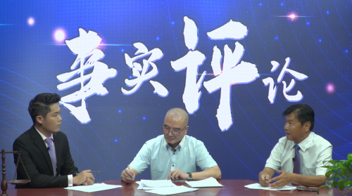 一言九鼎打一最佳生肖，全面释义、专家解答解释落实