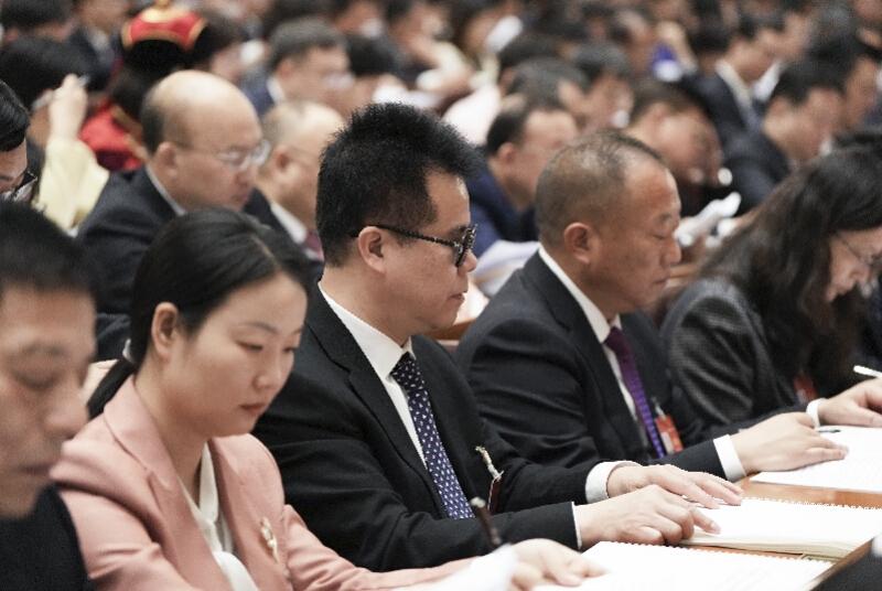 一言九鼎打一最佳生肖，全面释义、专家解答解释落实